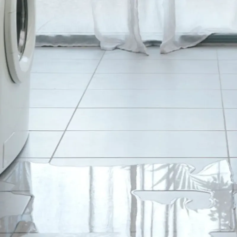 Appliance Leak Cleanup in Coldwater, MI