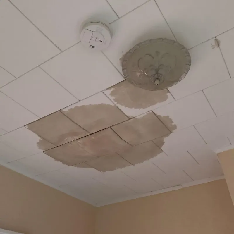 Ceiling Water Damage Repair in Coldwater, MI