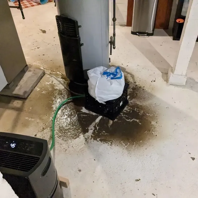 Sewage Backup Cleanup Service in Coldwater, MI
